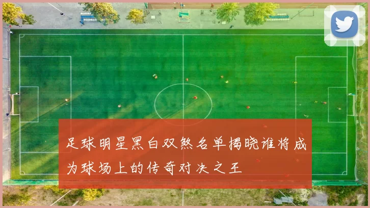 足球明星黑白双煞名单揭晓谁将成为球场上的传奇对决之王