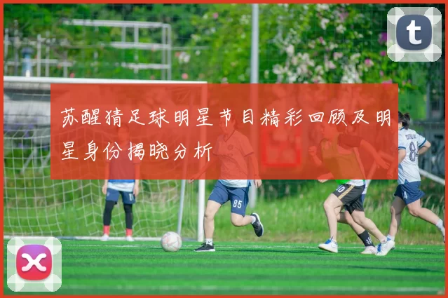 苏醒猜足球明星节目精彩回顾及明星身份揭晓分析