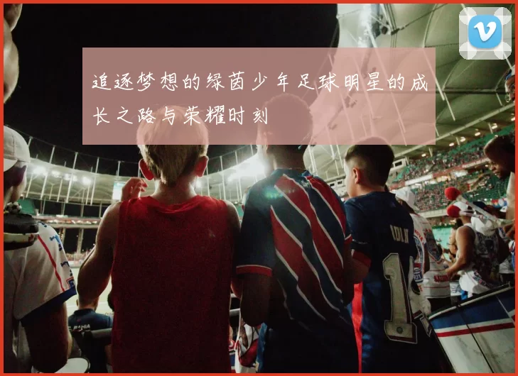 追逐梦想的绿茵少年足球明星的成长之路与荣耀时刻