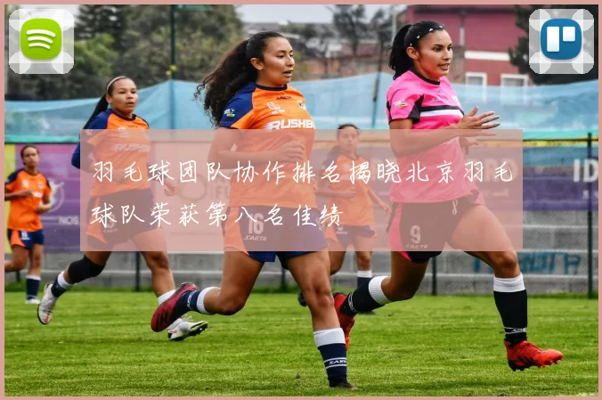 羽毛球团队协作排名揭晓北京羽毛球队荣获第八名佳绩