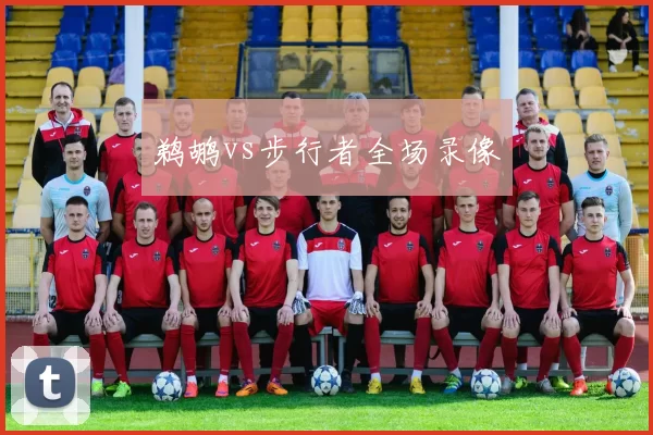 鹈鹕vs步行者全场录像