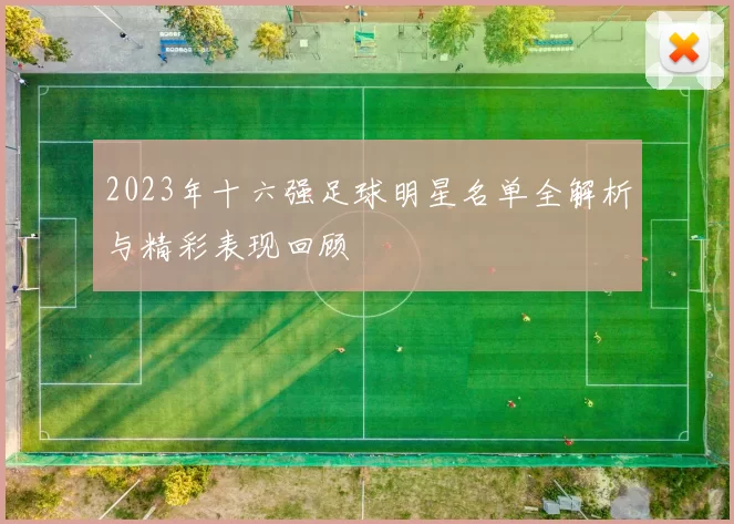 2023年十六强足球明星名单全解析与精彩表现回顾