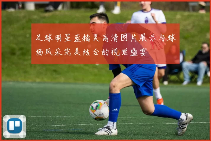 足球明星蓝精灵高清图片展示与球场风采完美结合的视觉盛宴