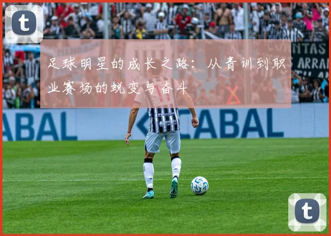 足球明星的成长之路：从青训到职业赛场的蜕变与奋斗