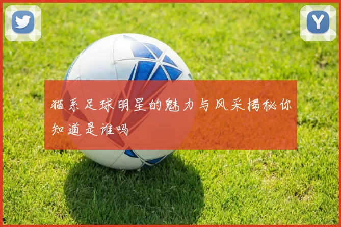 猫系足球明星的魅力与风采揭秘你知道是谁吗
