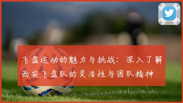 飞盘运动的魅力与挑战：深入了解西安飞盘队的灵活性与团队精神