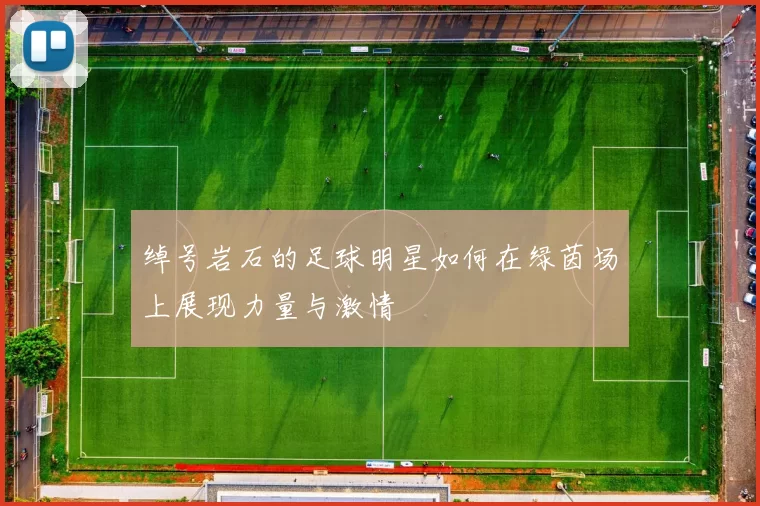 绰号岩石的足球明星如何在绿茵场上展现力量与激情