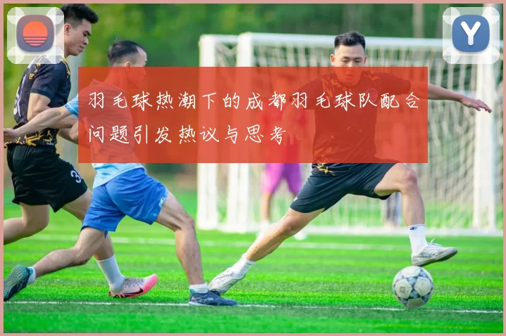 羽毛球热潮下的成都羽毛球队配合问题引发热议与思考