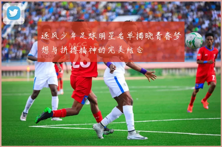 逐风少年足球明星名单揭晓青春梦想与拼搏精神的完美结合