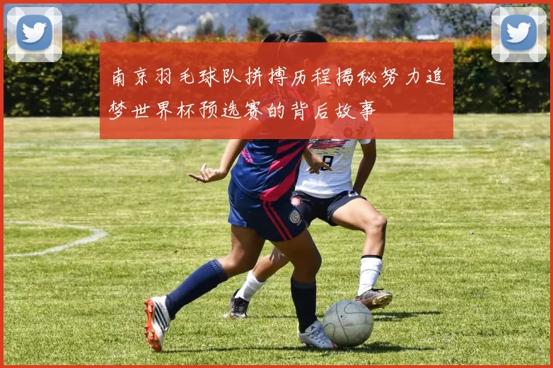 南京羽毛球队拼搏历程揭秘努力追梦世界杯预选赛的背后故事