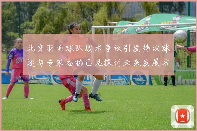 北京羽毛球队战术争议引发热议球迷与专家各执己见探讨未来发展方向