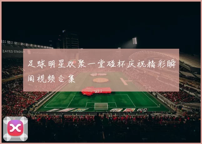 足球明星欢聚一堂碰杯庆祝精彩瞬间视频合集