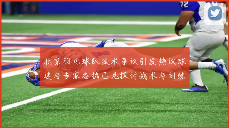北京羽毛球队技术争议引发热议球迷与专家各执己见探讨战术与训练问题
