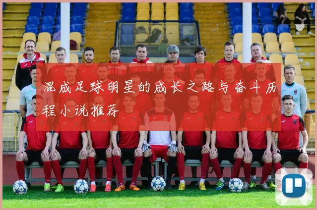 混成足球明星的成长之路与奋斗历程小说推荐
