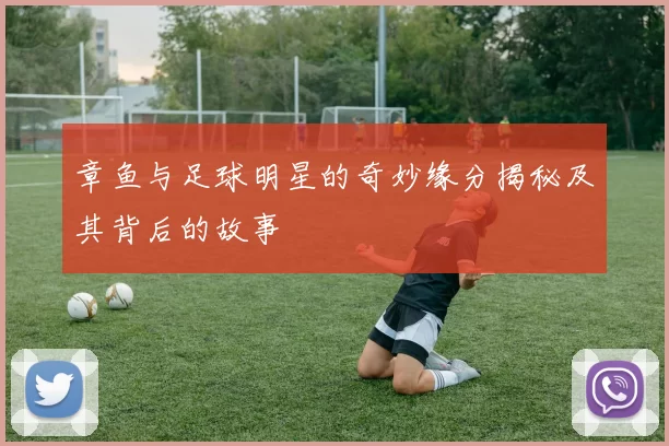 章鱼与足球明星的奇妙缘分揭秘及其背后的故事