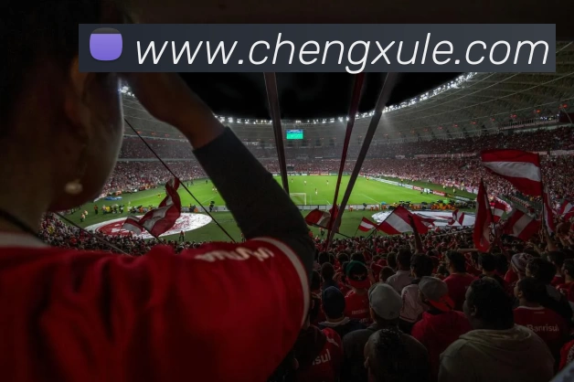 ayx爱游戏APP 高清赛事图