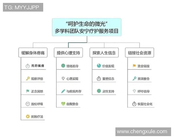 北京乒乓球队团队协作的成功经验与挑战分析