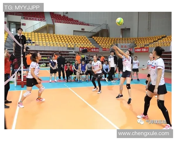 广州排球队战术解析与发展策略探讨之路